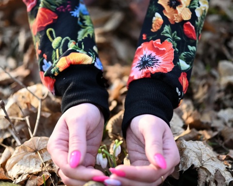 Bluza, której nie ma drugiej – Makowa Noc